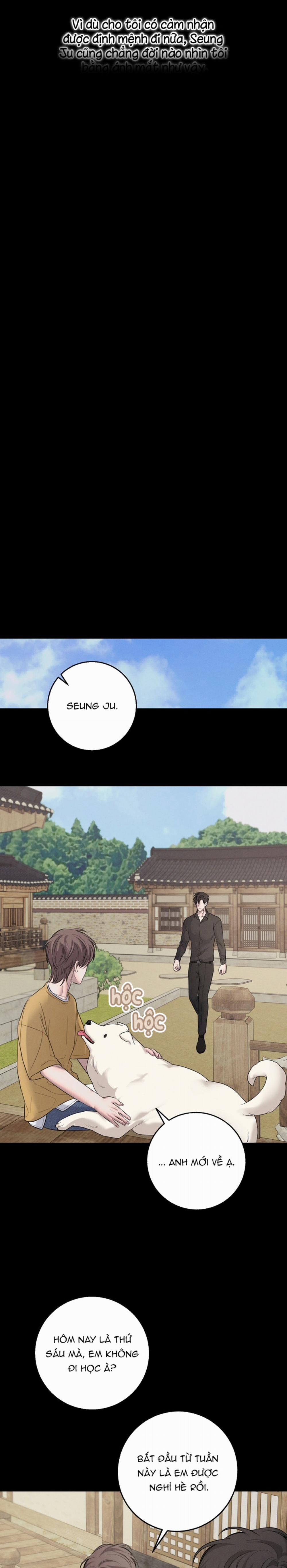 Màn Đêm Bất Tận 35 trang 25