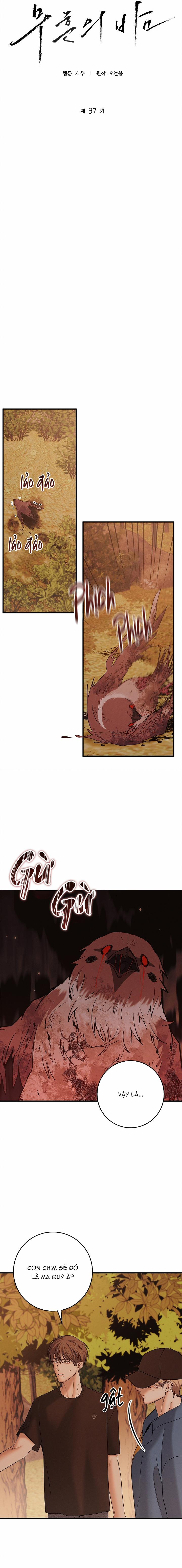 Màn Đêm Bất Tận 37 trang 9