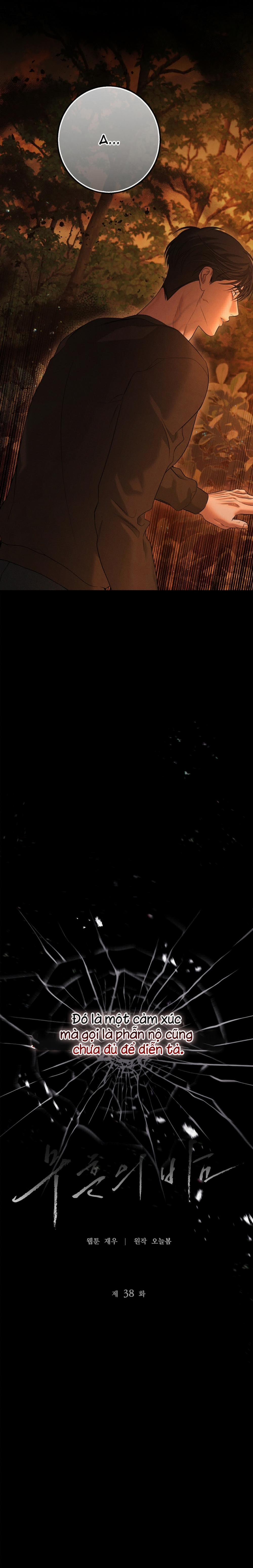 Màn Đêm Bất Tận 38 trang 5