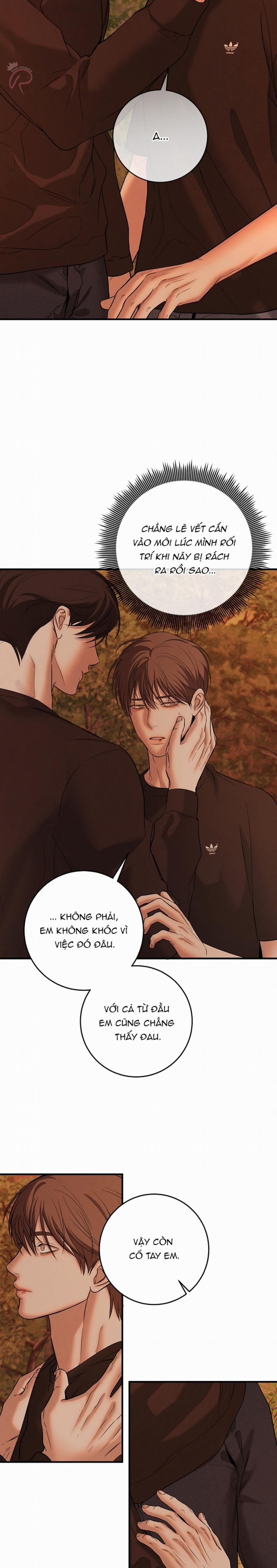 Màn Đêm Bất Tận 38 trang 9