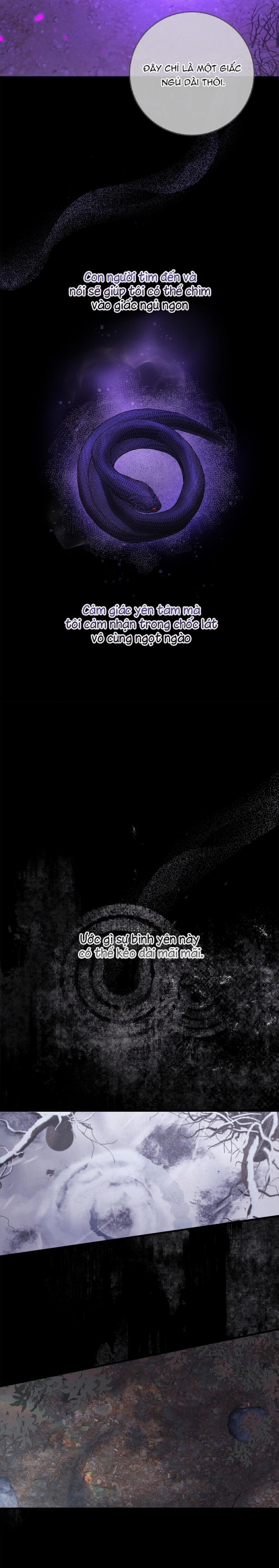 Màn Đêm Bất Tận 41 trang 19