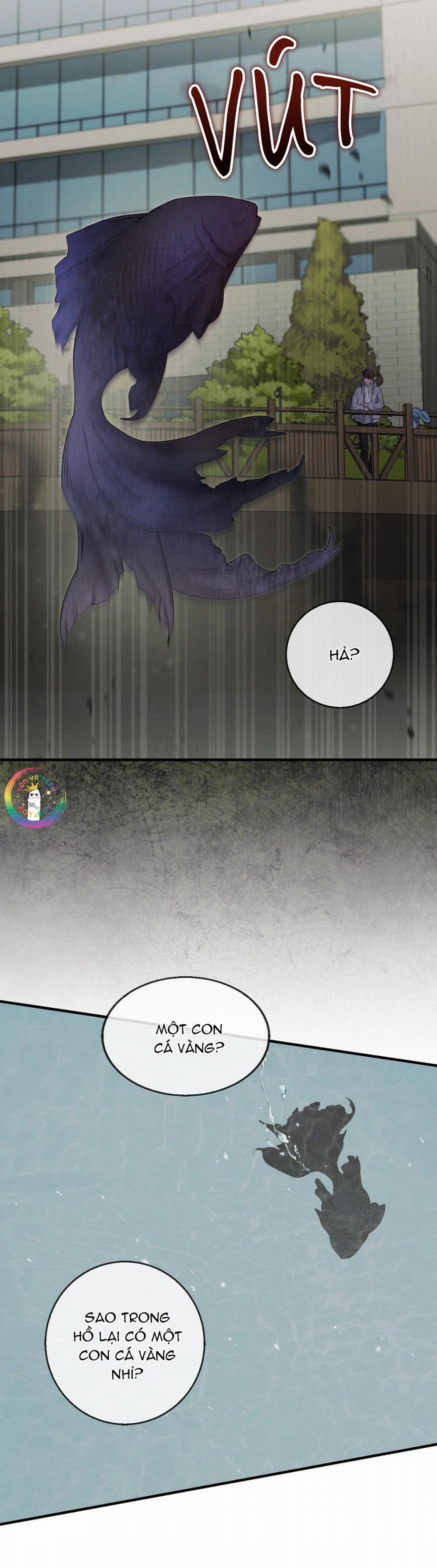 Màn Đêm Không Lối 21 trang 37