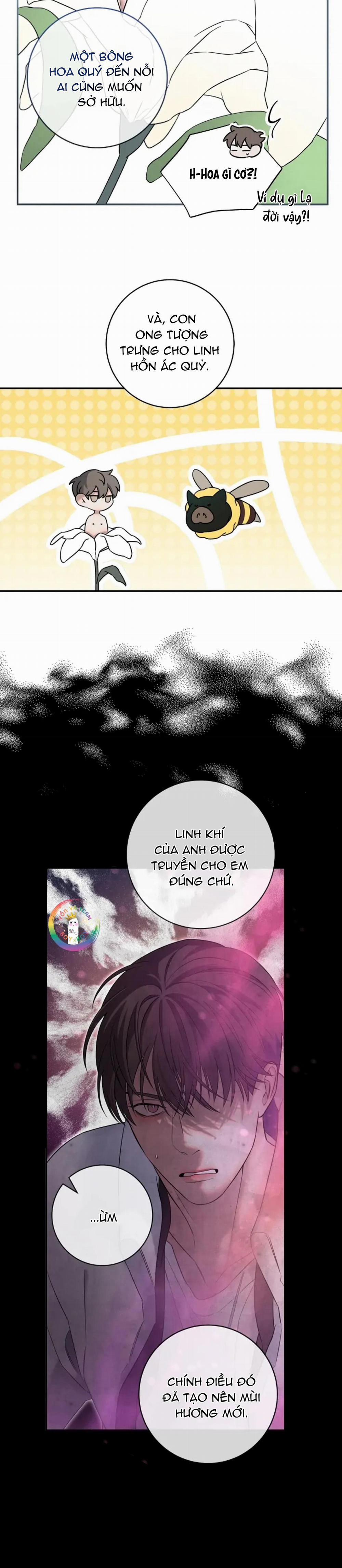 Màn Đêm Không Lối 6 trang 10