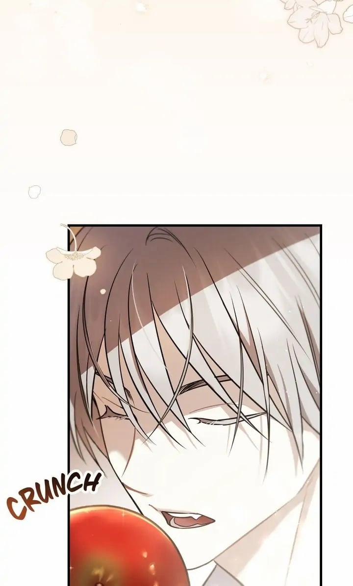 Màn Đêm Không Tối 41.2 trang 17