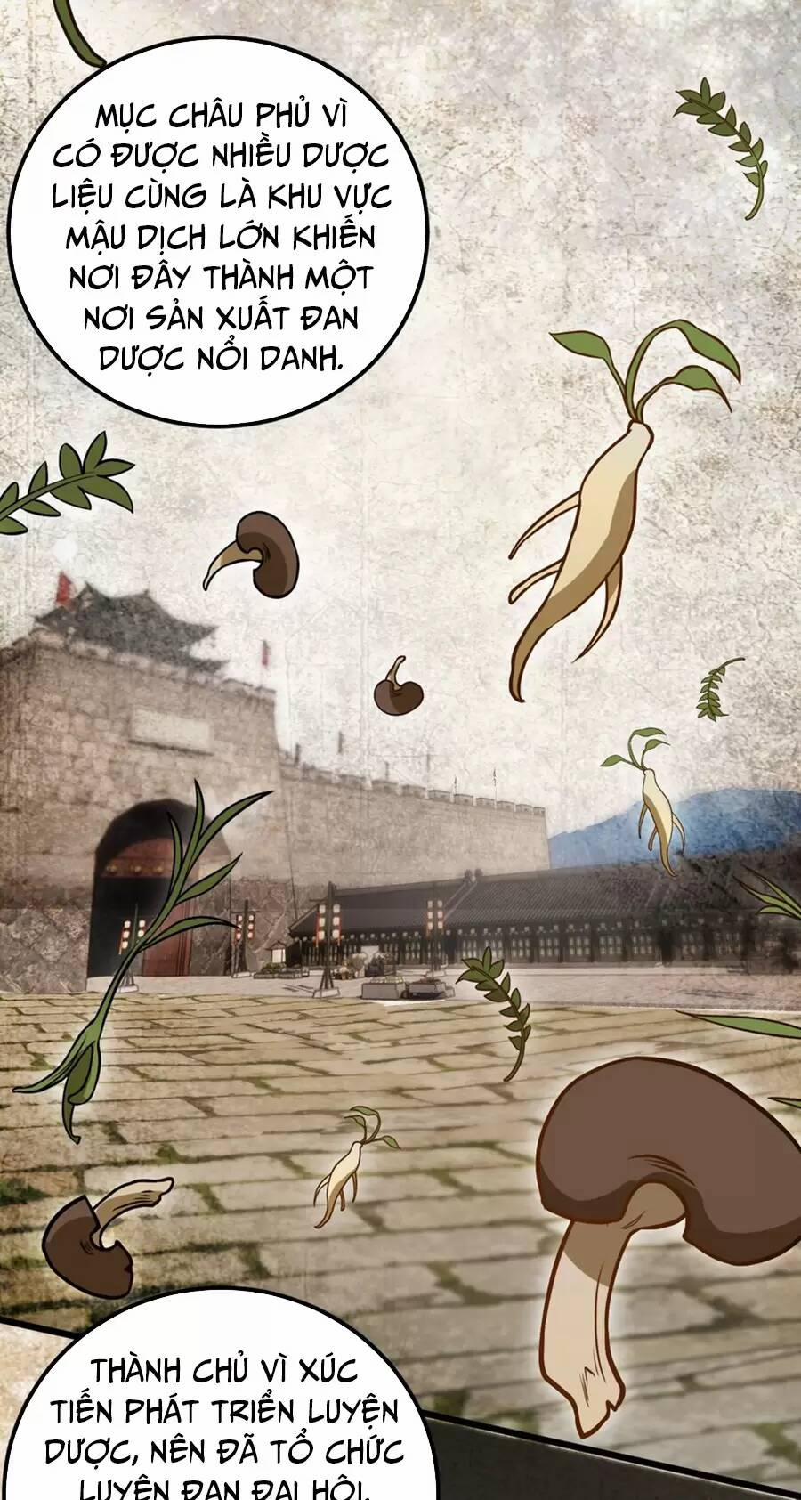 Mang Theo Các Tiên Tử Vô Địch Thiên Hạ 23.2 trang 12