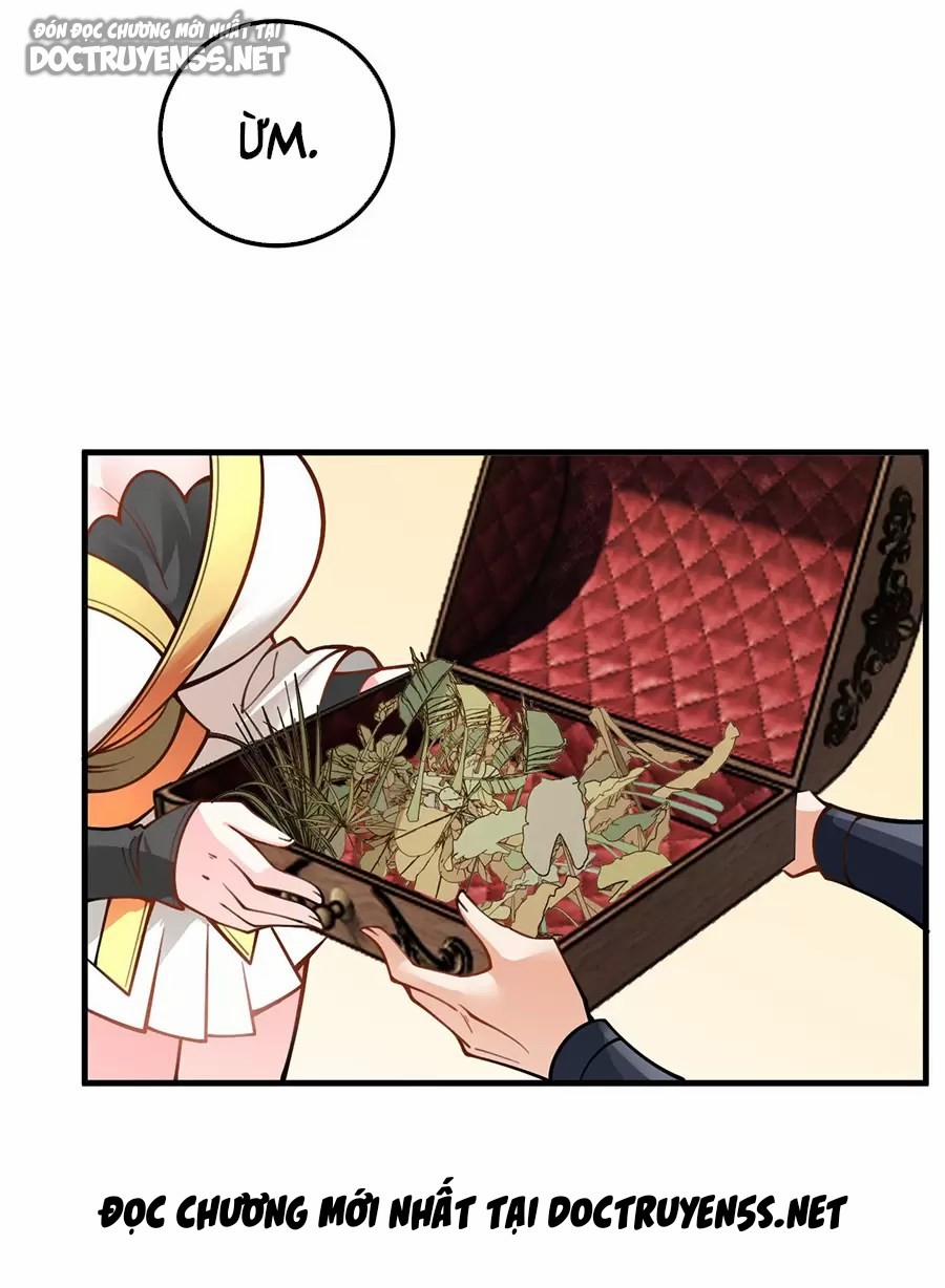 Mang Theo Các Tiên Tử Vô Địch Thiên Hạ 55.1 trang 24