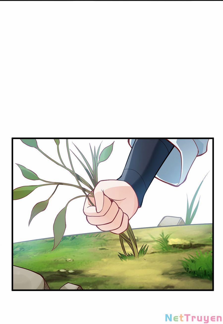 Mang Theo Các Tiên Tử Vô Địch Thiên Hạ 8 trang 58