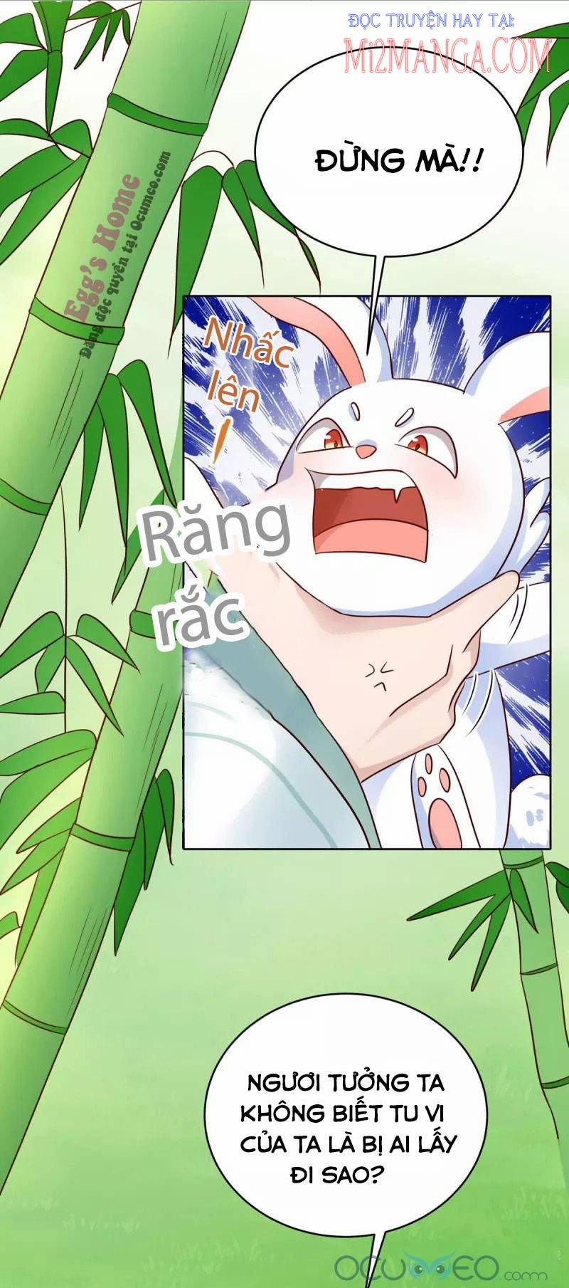 Manh Bảo Y Tiên Ba Tuổi Rưỡi 1 trang 17