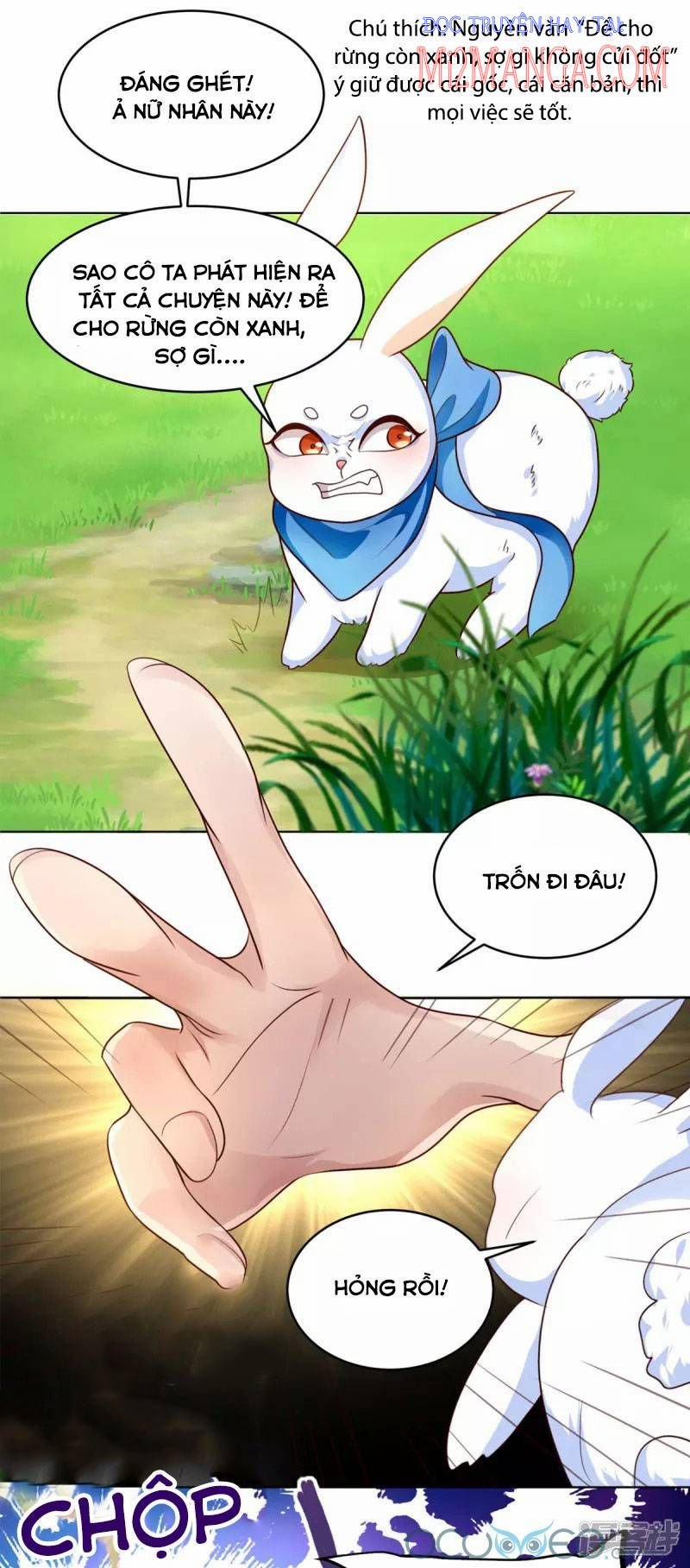 Manh Bảo Y Tiên Ba Tuổi Rưỡi 1 trang 20