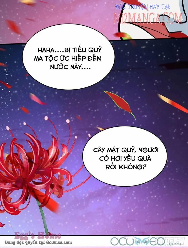 Manh Bảo Y Tiên Ba Tuổi Rưỡi 27.5 trang 2