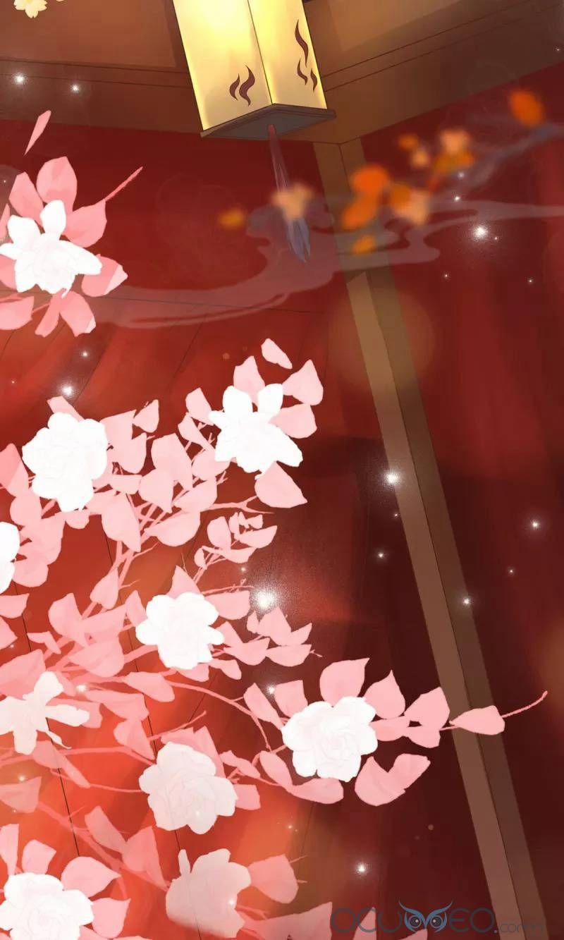 Manh Bảo Y Tiên Ba Tuổi Rưỡi 4 trang 7