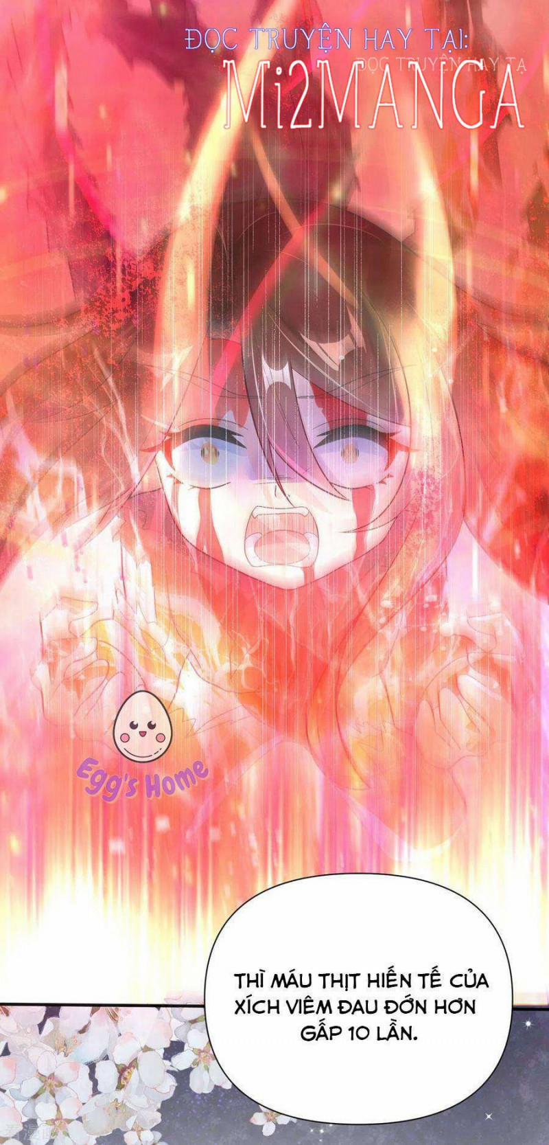 Manh Bảo Y Tiên Ba Tuổi Rưỡi 40.5 trang 2