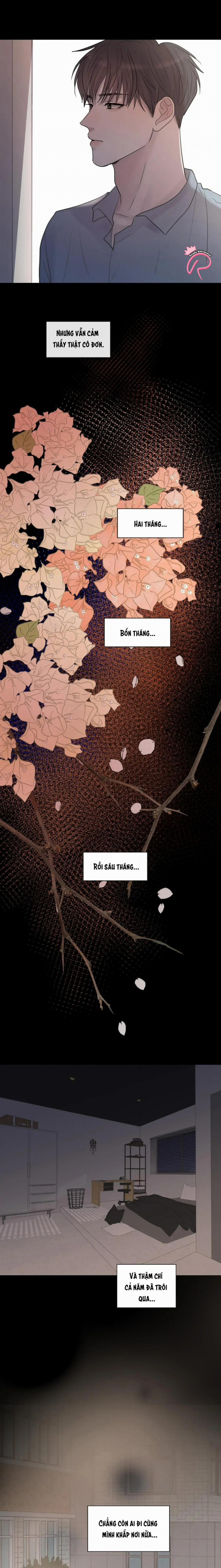 Mảnh Đêm Vụn Vỡ 61 trang 13