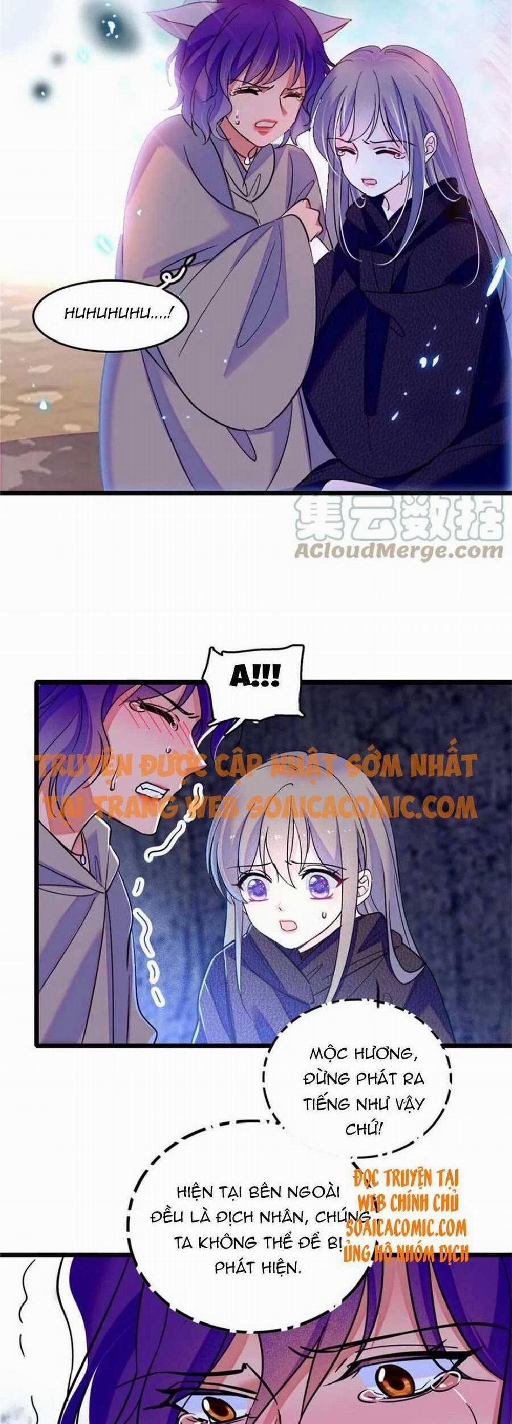 Manh Động Thú Thế 53 trang 15