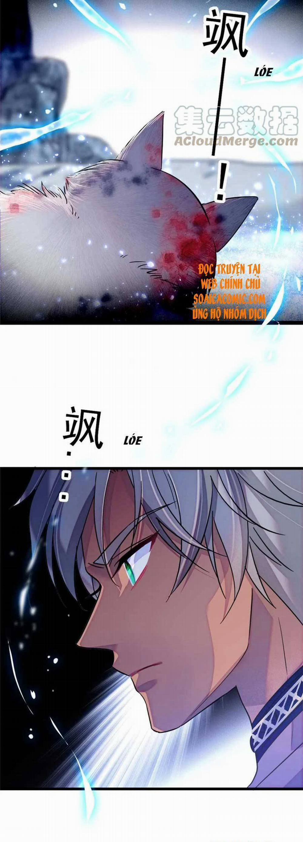 Manh Động Thú Thế 53 trang 22