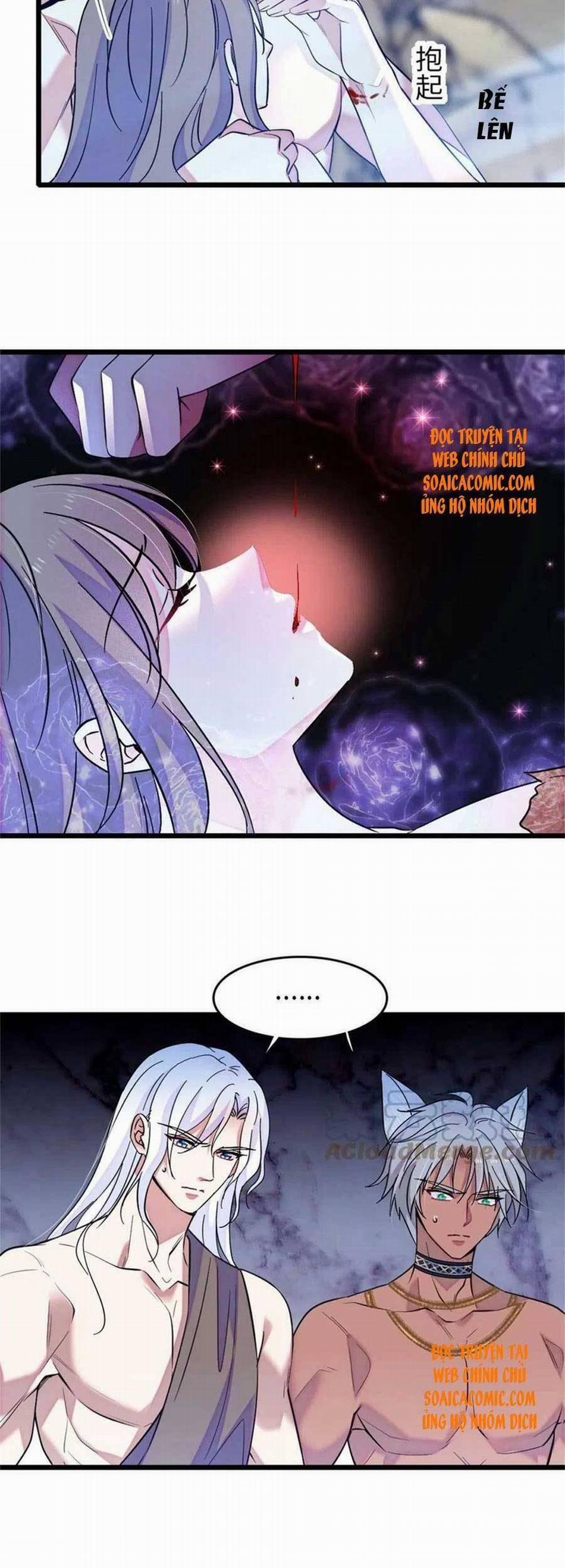 Manh Động Thú Thế 73 trang 13