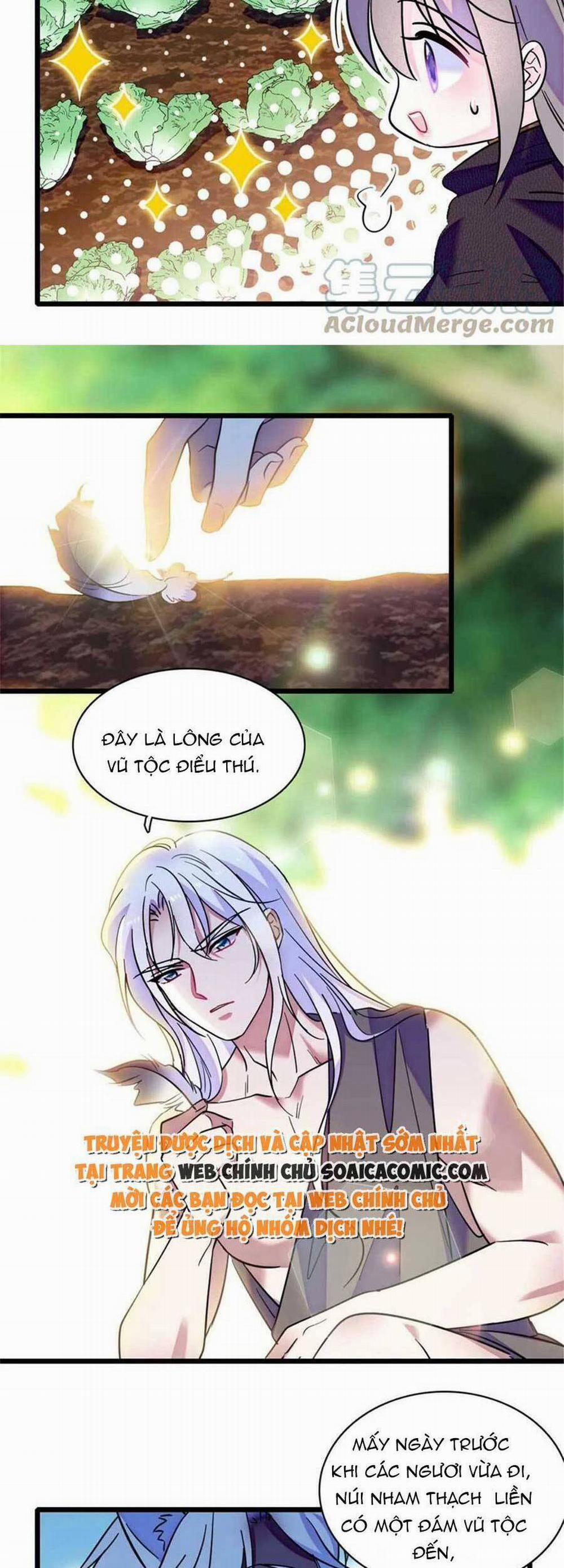 Manh Động Thú Thế 81 trang 19