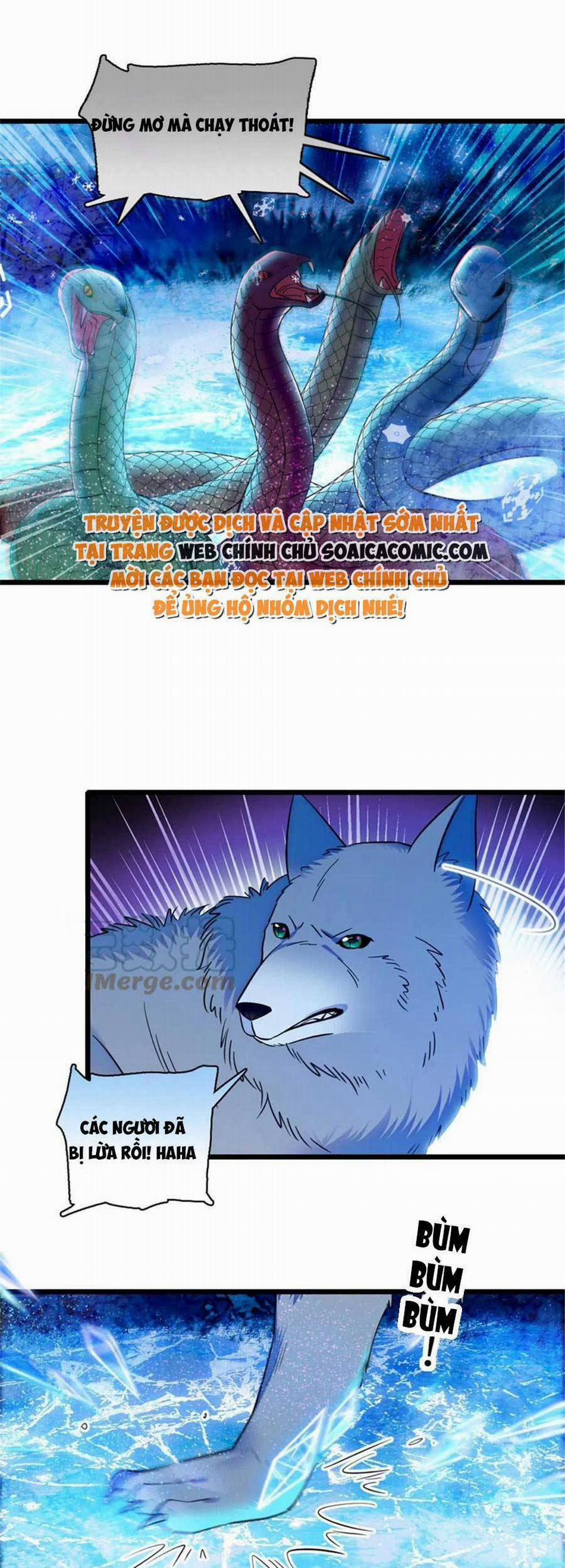 Manh Động Thú Thế 92 trang 5