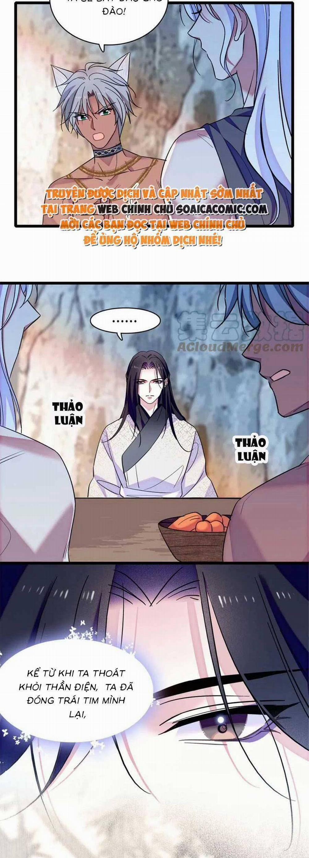 Manh Động Thú Thế 93 trang 14