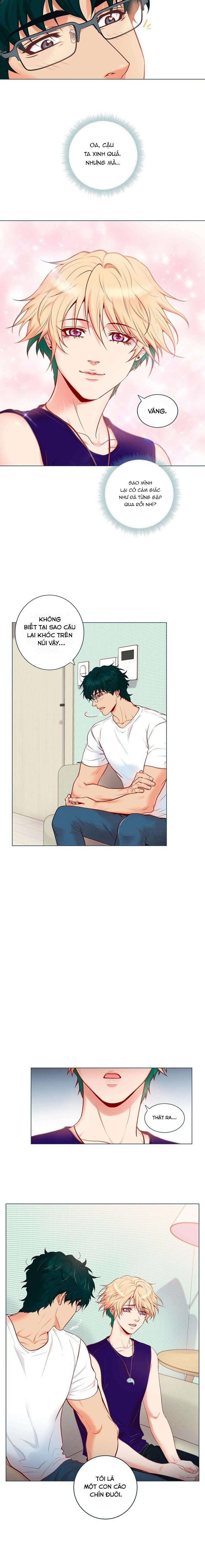 MÃNH HỔ VÂY QUANH 1 trang 11