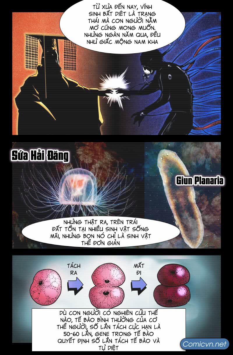 Mạnh Nhất Lịch Sử 30 trang 8