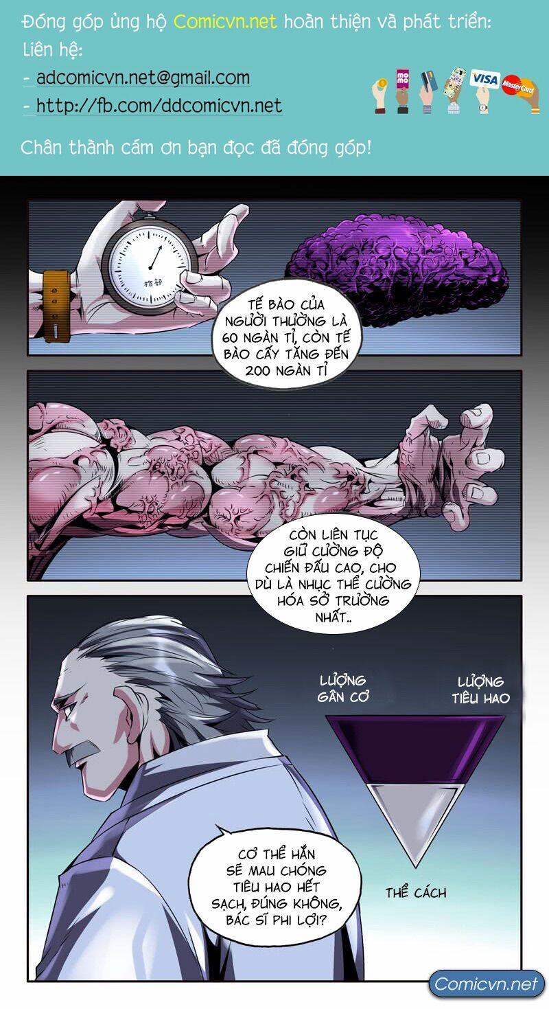 Mạnh Nhất Lịch Sử 33 trang 0