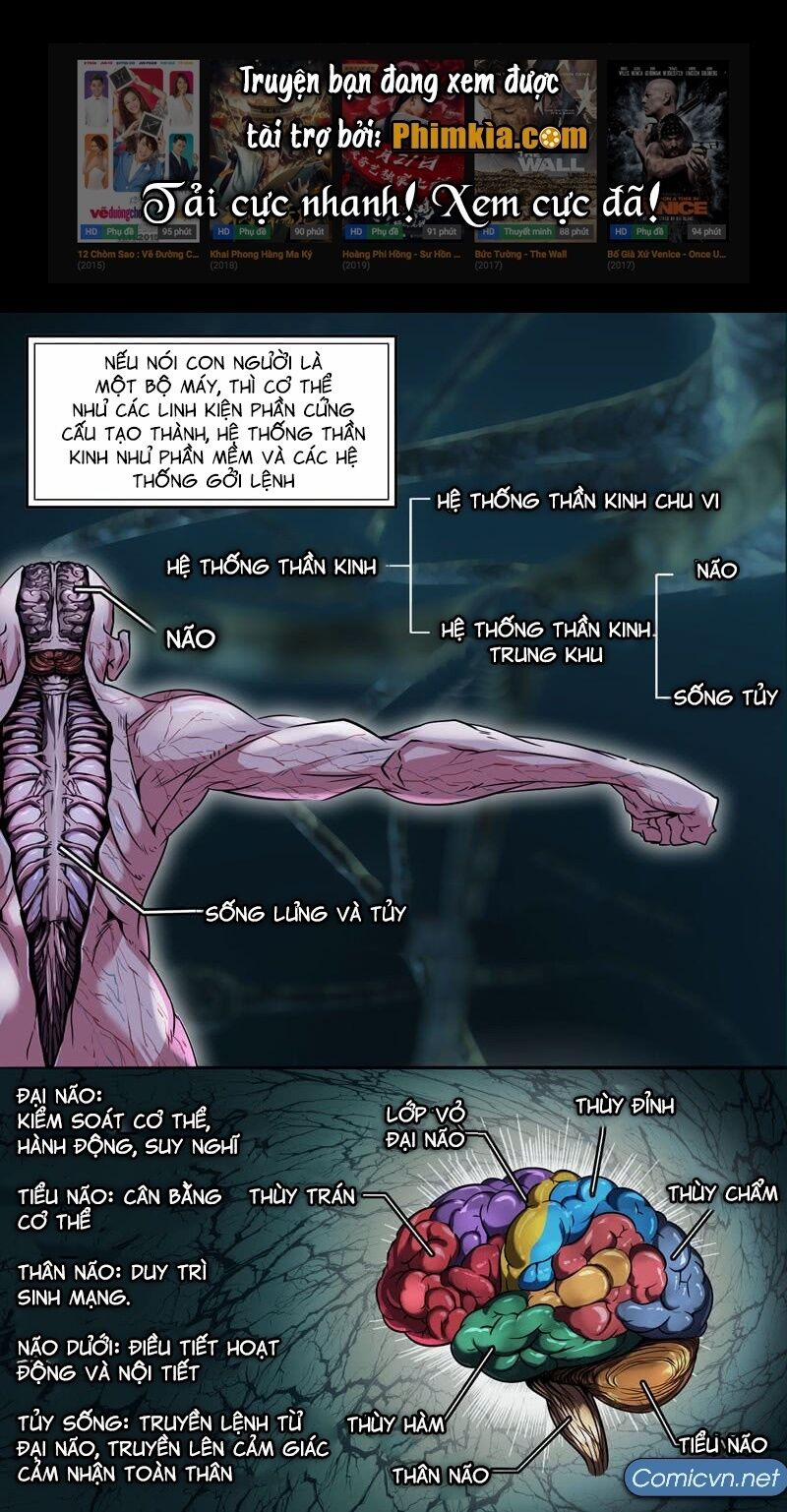 Mạnh Nhất Lịch Sử 43 trang 0