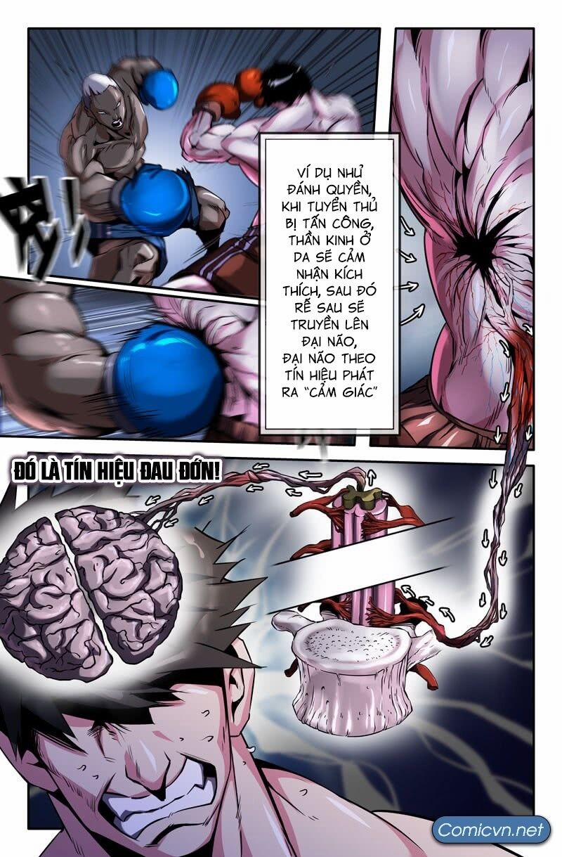 Mạnh Nhất Lịch Sử 43 trang 2