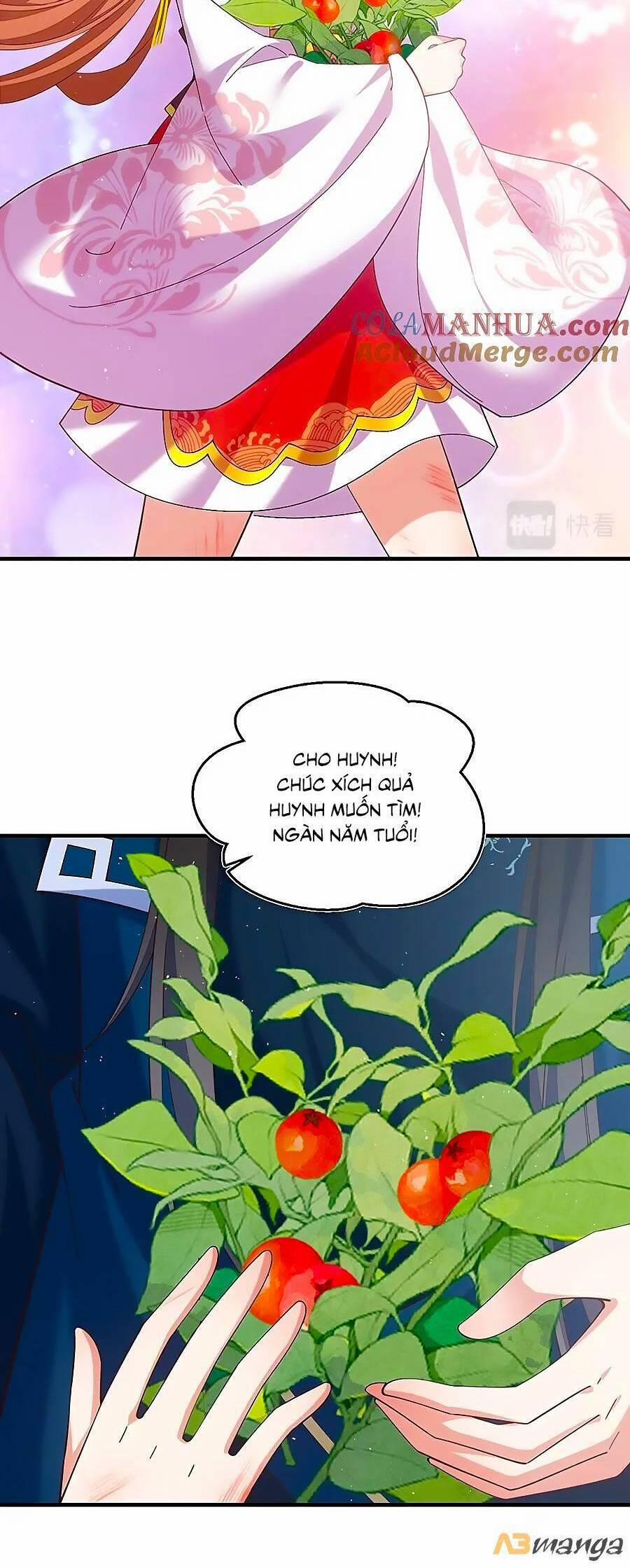 Manh Sư Tại Thượng 461 trang 15