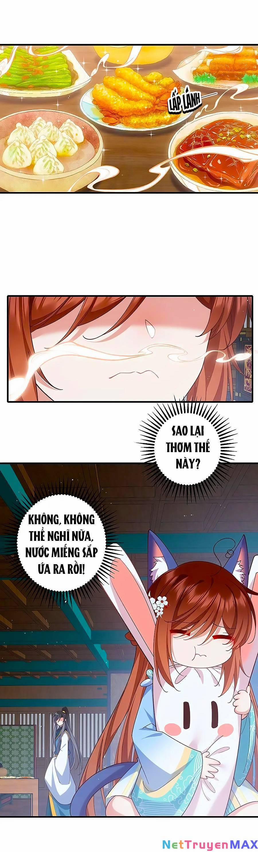 Manh Sư Tại Thượng 479 trang 1