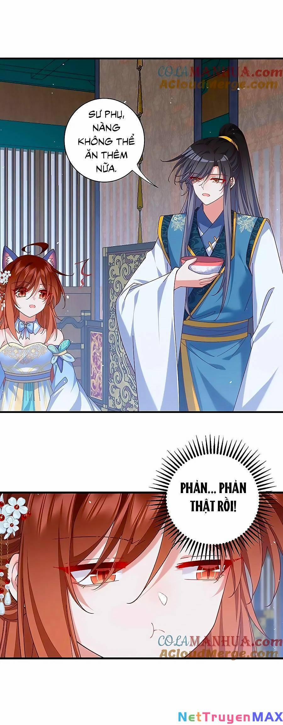 Manh Sư Tại Thượng 479 trang 12