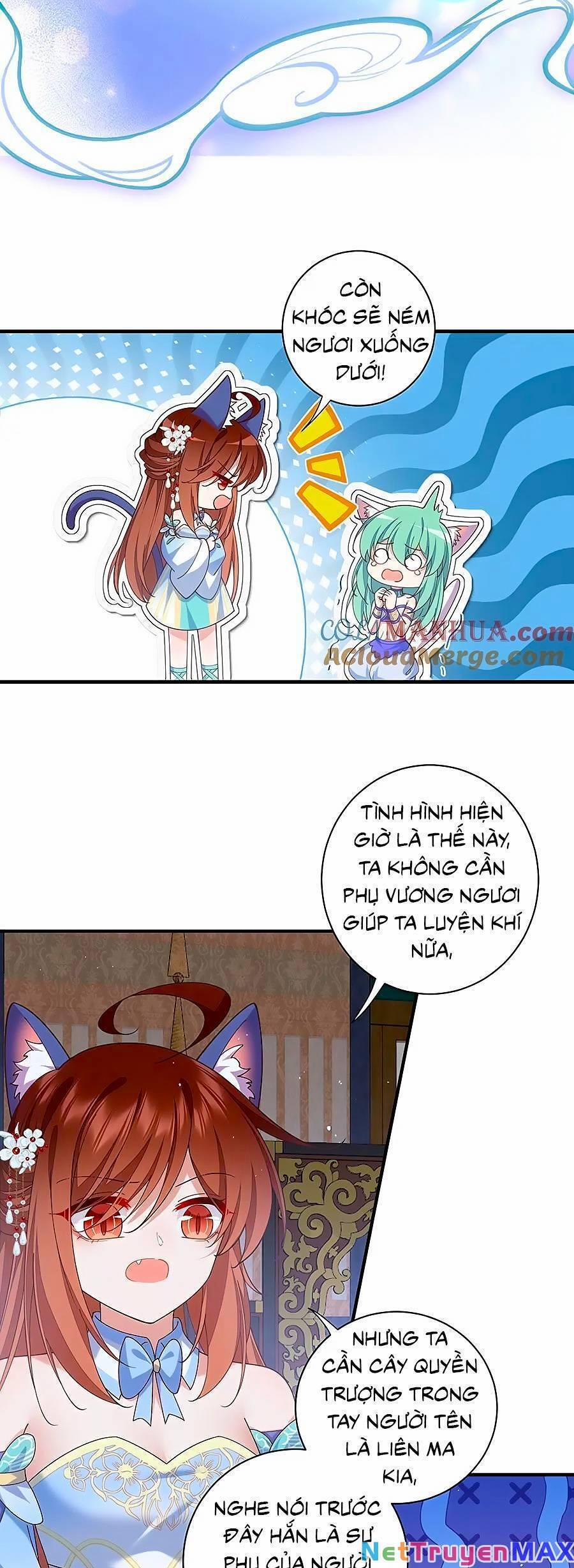 Manh Sư Tại Thượng 479 trang 21