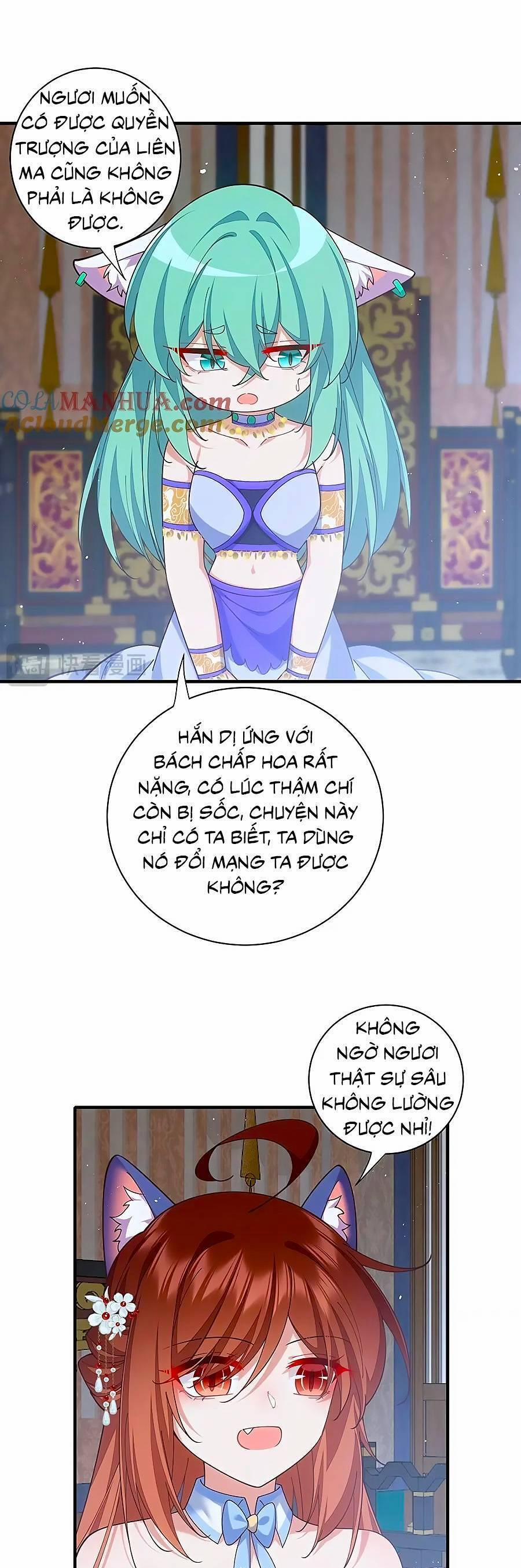 Manh Sư Tại Thượng 480 trang 1