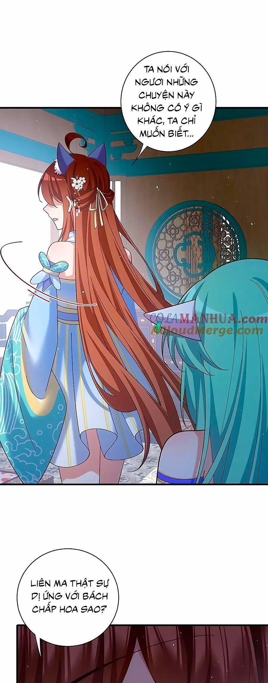 Manh Sư Tại Thượng 480 trang 11