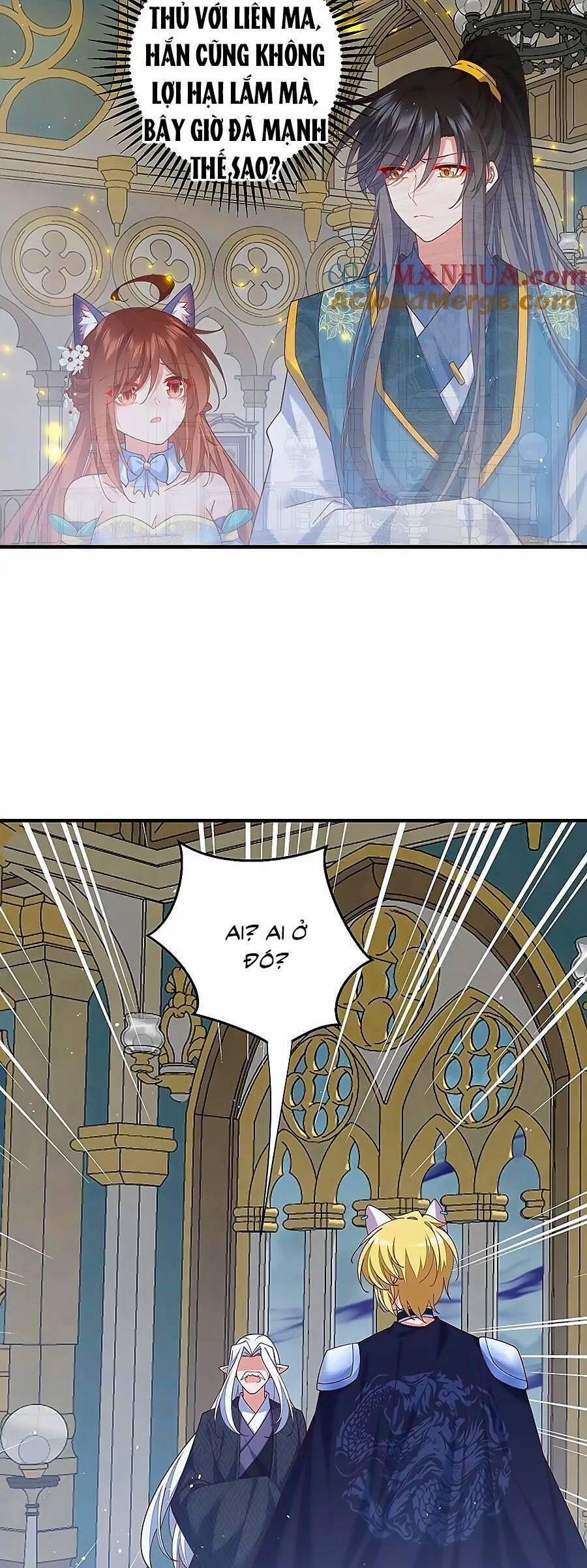 Manh Sư Tại Thượng 482 trang 12