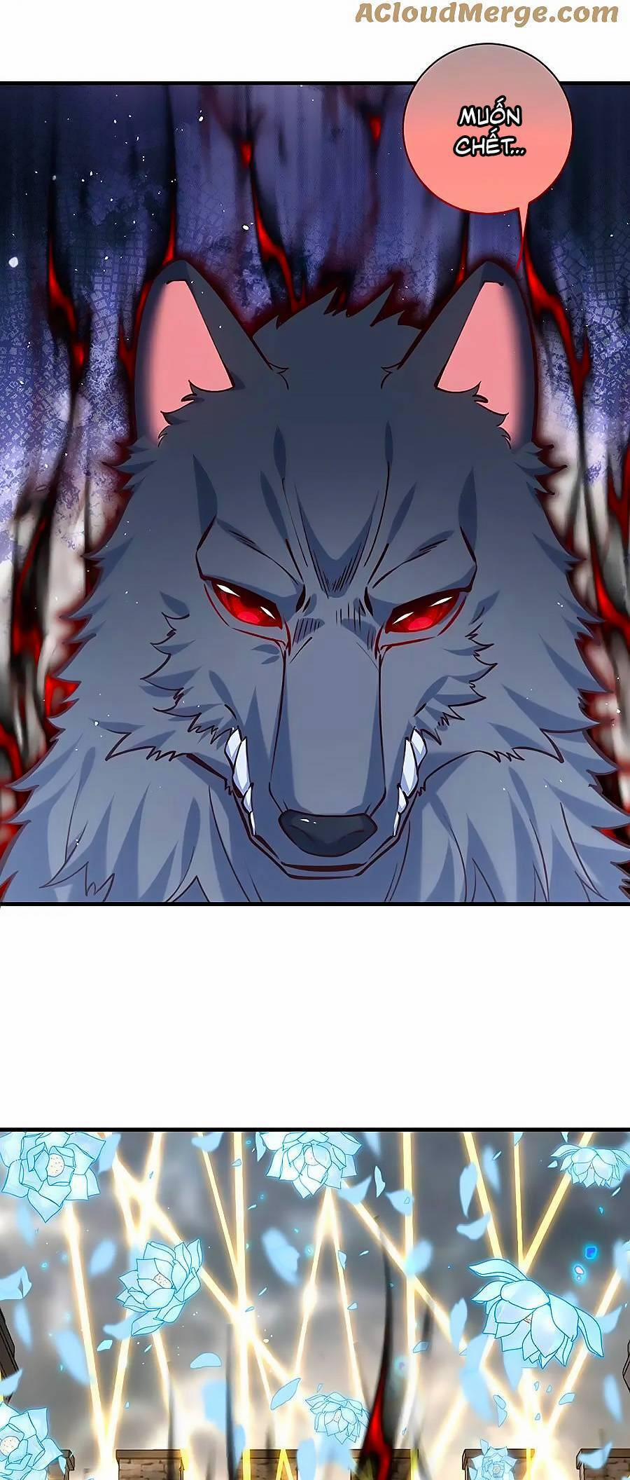 Manh Sư Tại Thượng 485 trang 15