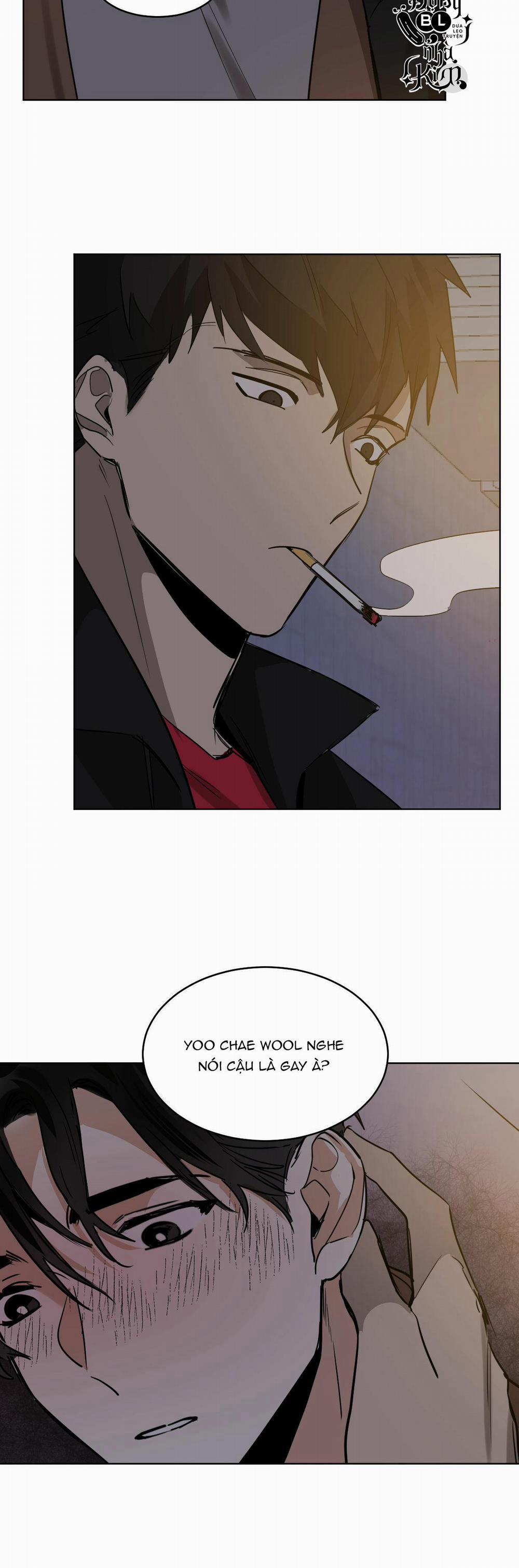 Mãnh Thú Biến Nhiệt 51 trang 19