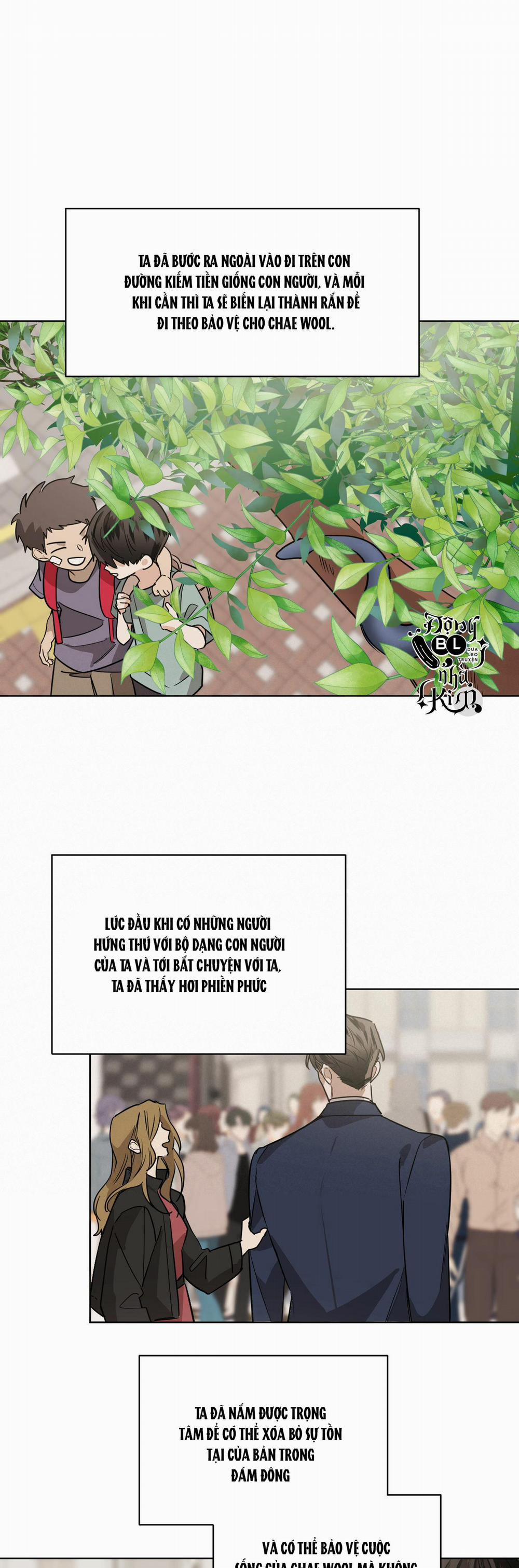 Mãnh Thú Biến Nhiệt 51 trang 5