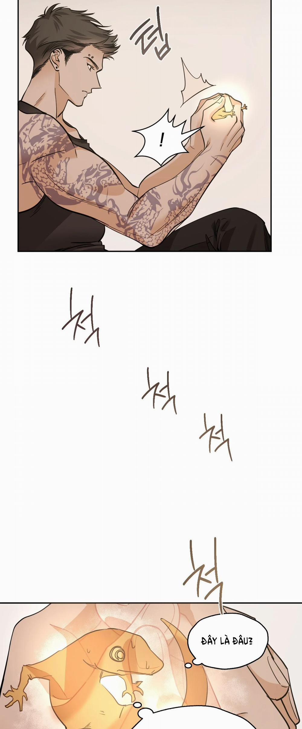 Mãnh Thú Biến Nhiệt 71.1 trang 2