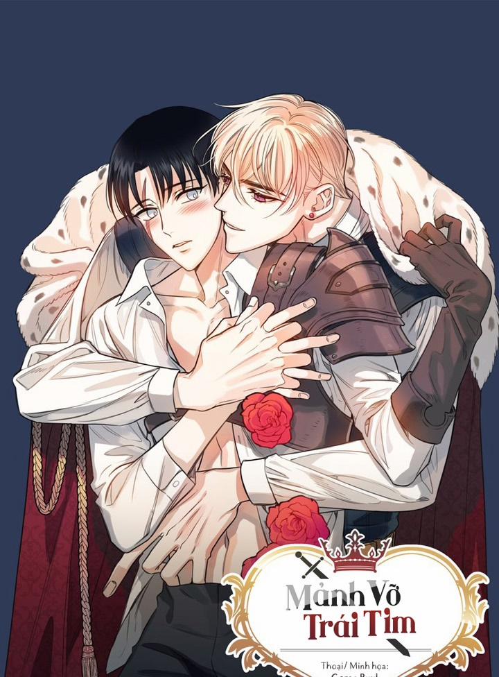 Mảnh Vỡ Trái Tim 11 trang 0