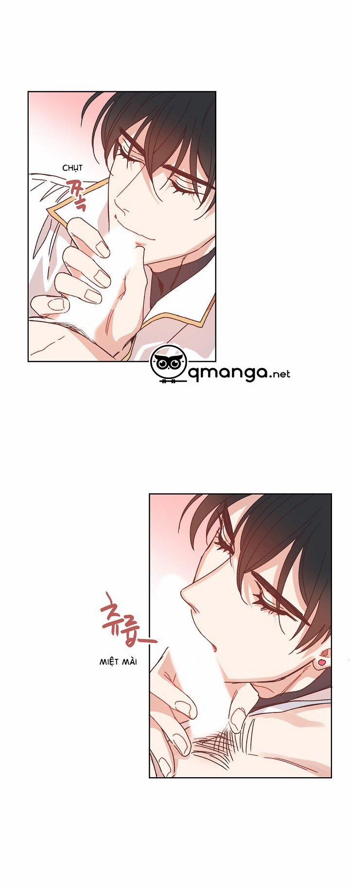 Mảnh Vỡ Trái Tim 12 trang 0