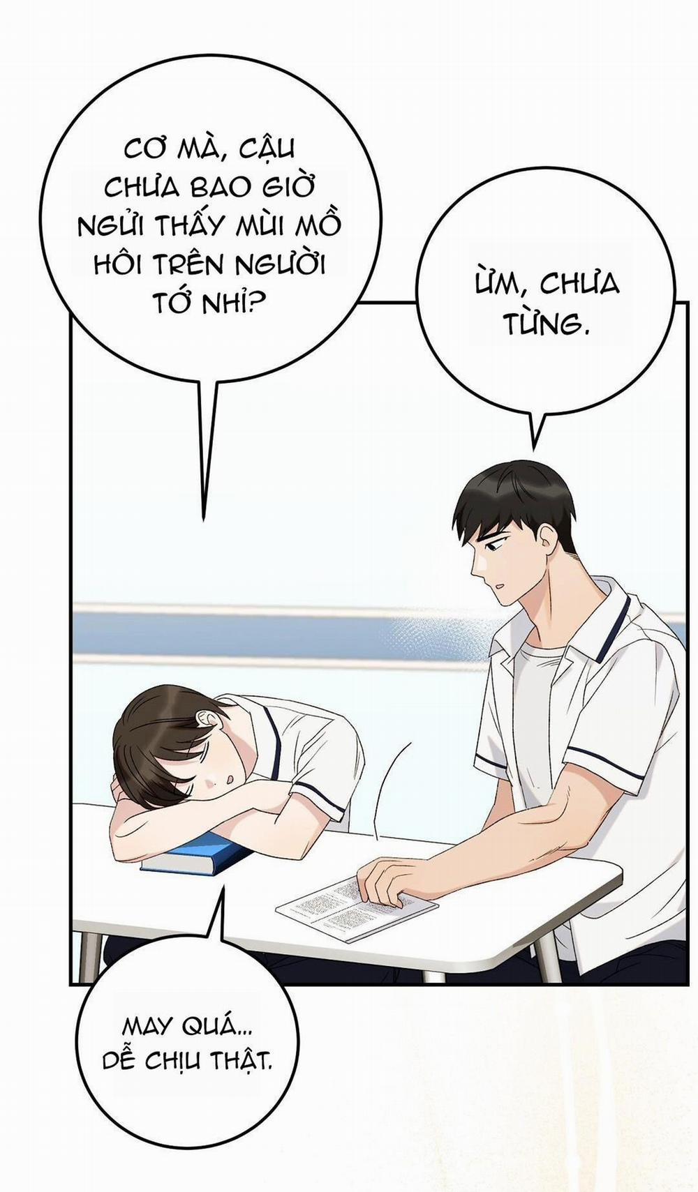 Mảnh Vụn 6 trang 42