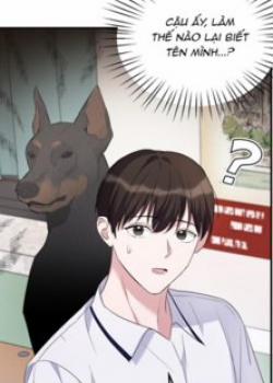 Đọc truyện tranh Mảnh Vụn