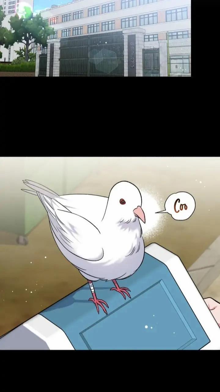 Manhwa Chịch Vồn Chịch Vã 64 trang 5