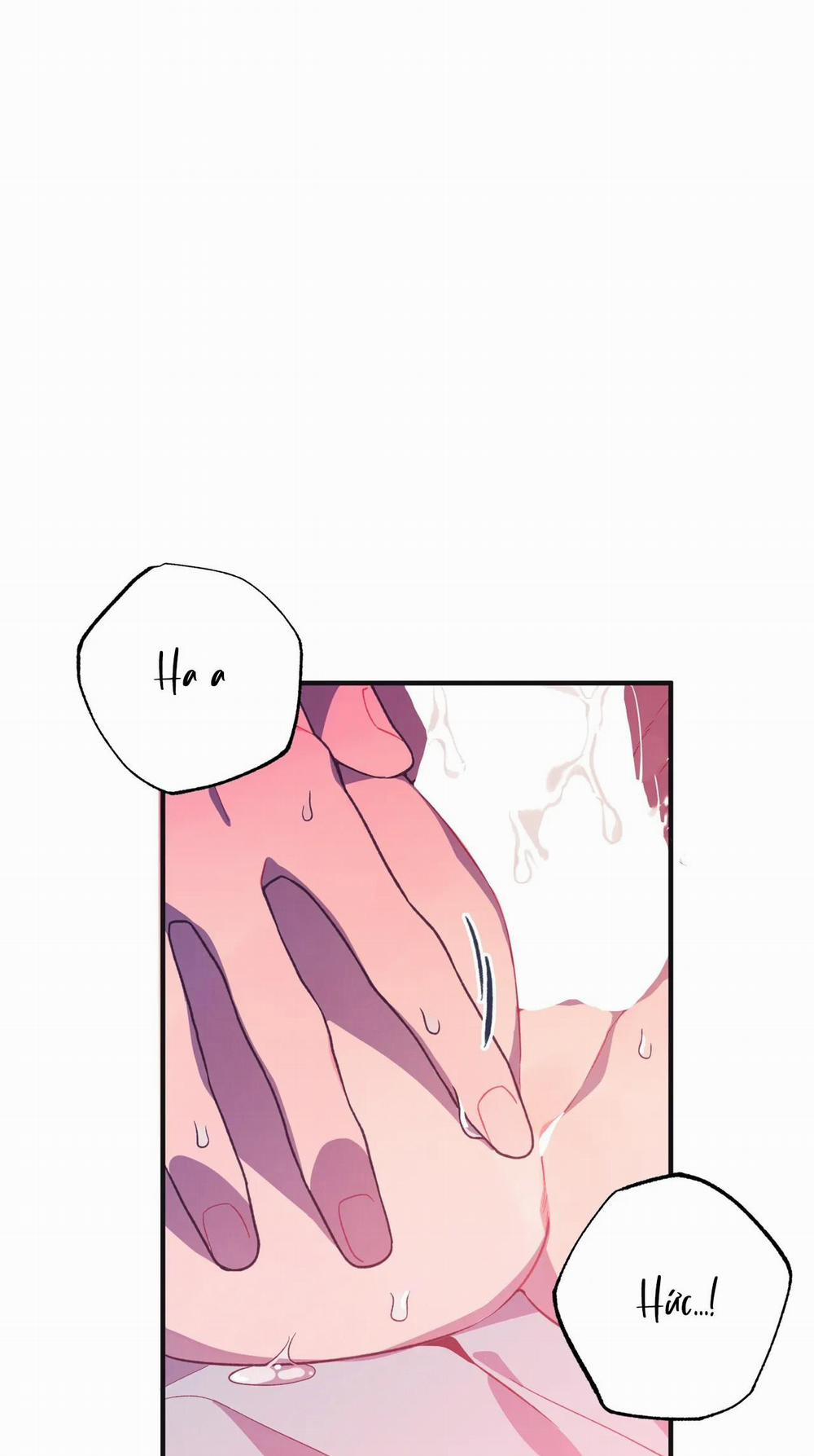 Manhwa Chịch Vồn Chịch Vã 7 Thỏ va Rùa trang 60