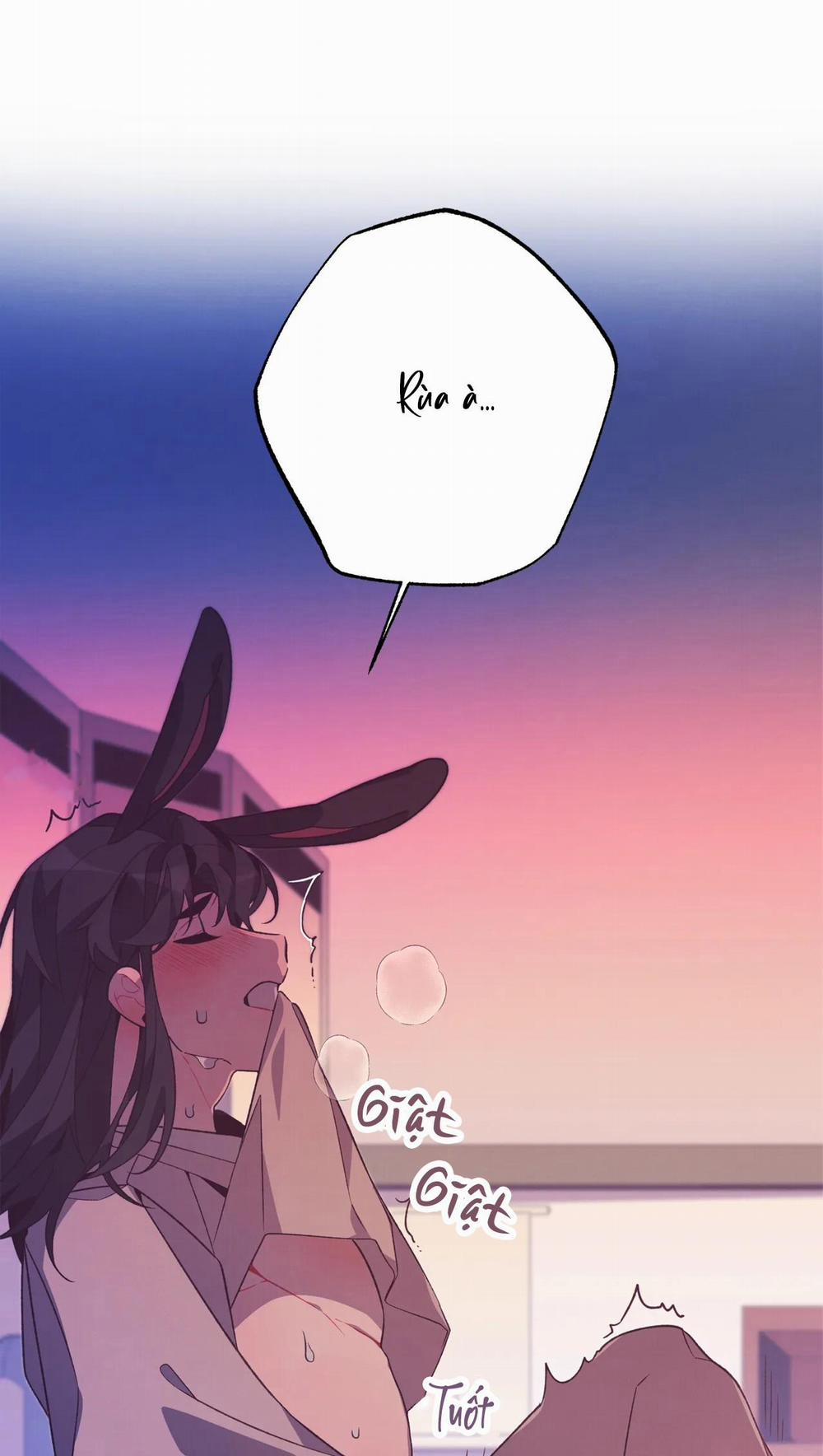 Manhwa Chịch Vồn Chịch Vã 7 Thỏ va Rùa trang 66