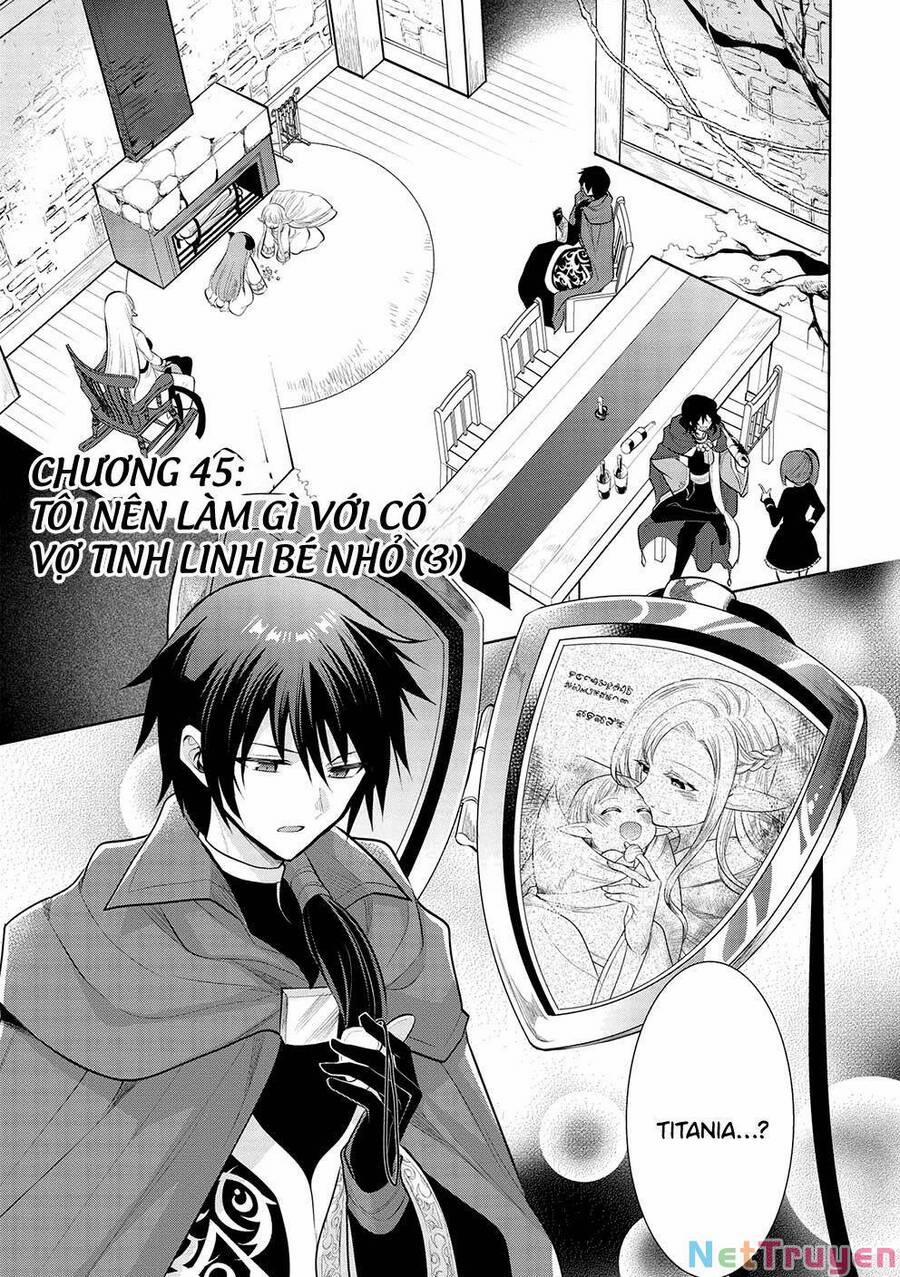 Maou No Ore Ga Dorei Elf Wo Yome Ni Shitanda Ga, Dou Medereba Ii? 45 trang 1