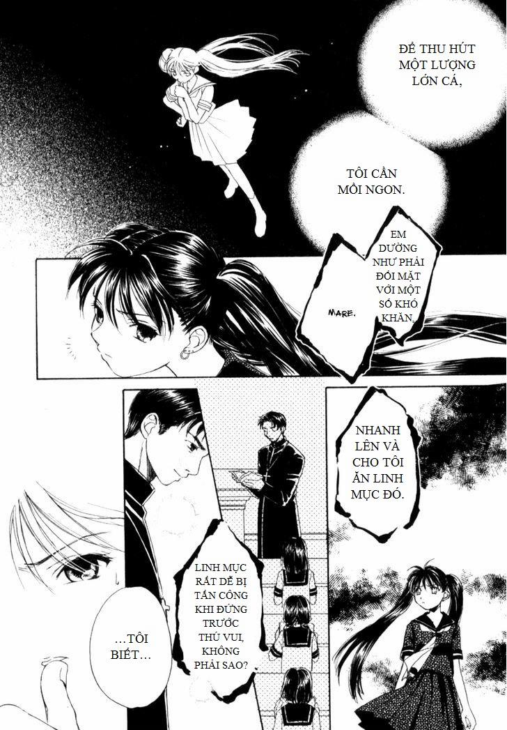 Mare 7 trang 7