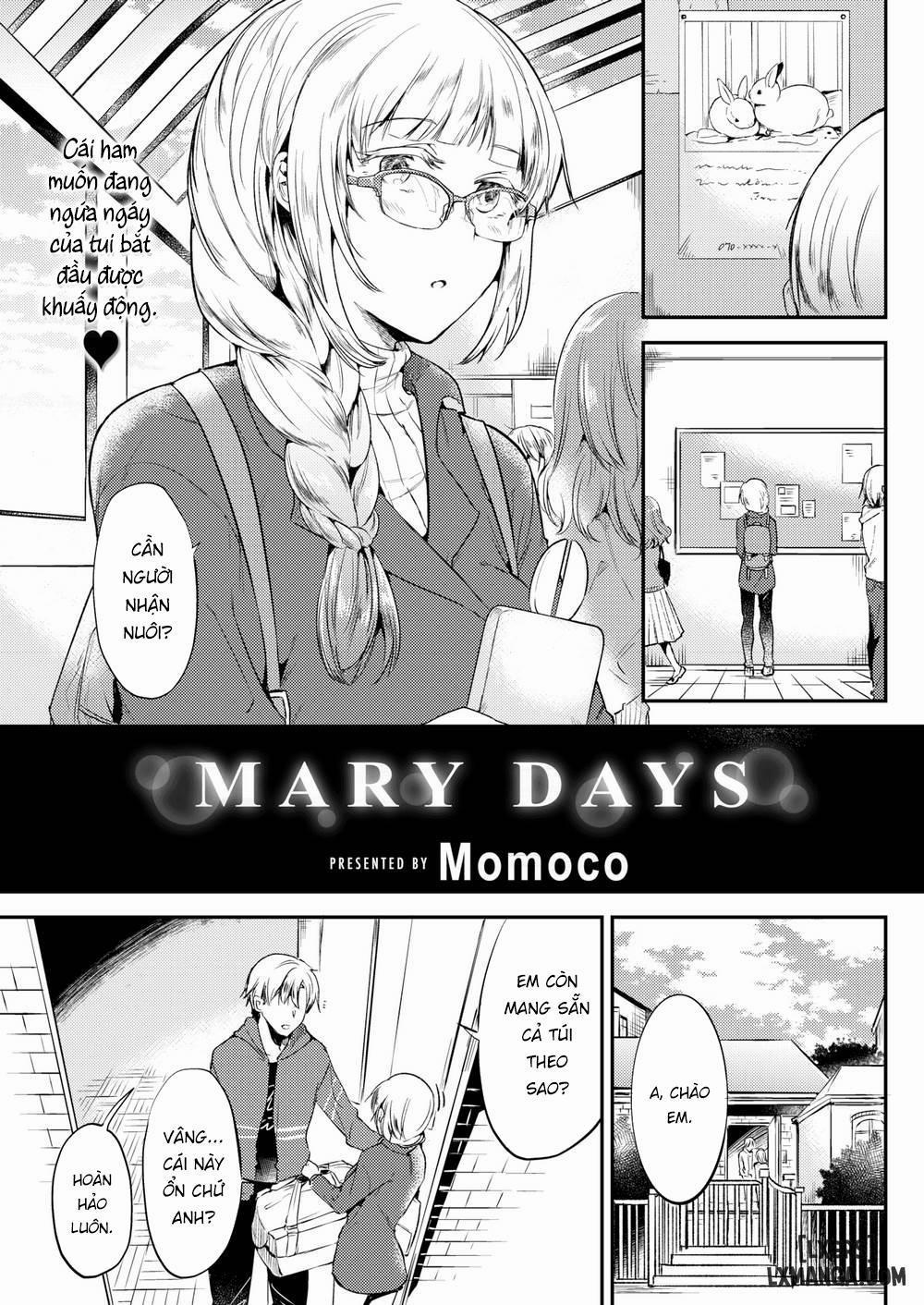 Mary Days Oneshot trang 0
