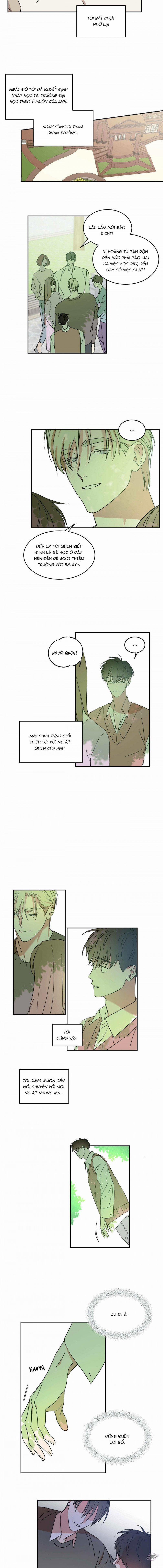 Master Của Tôi 10 trang 3